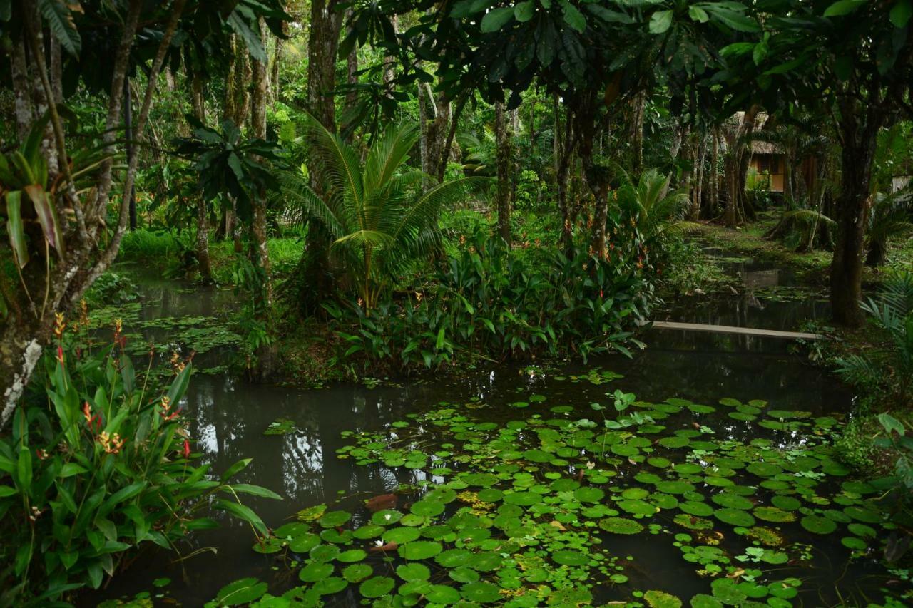 Hotel Kangaroo Y Restaurante Rio Dulce Luaran gambar