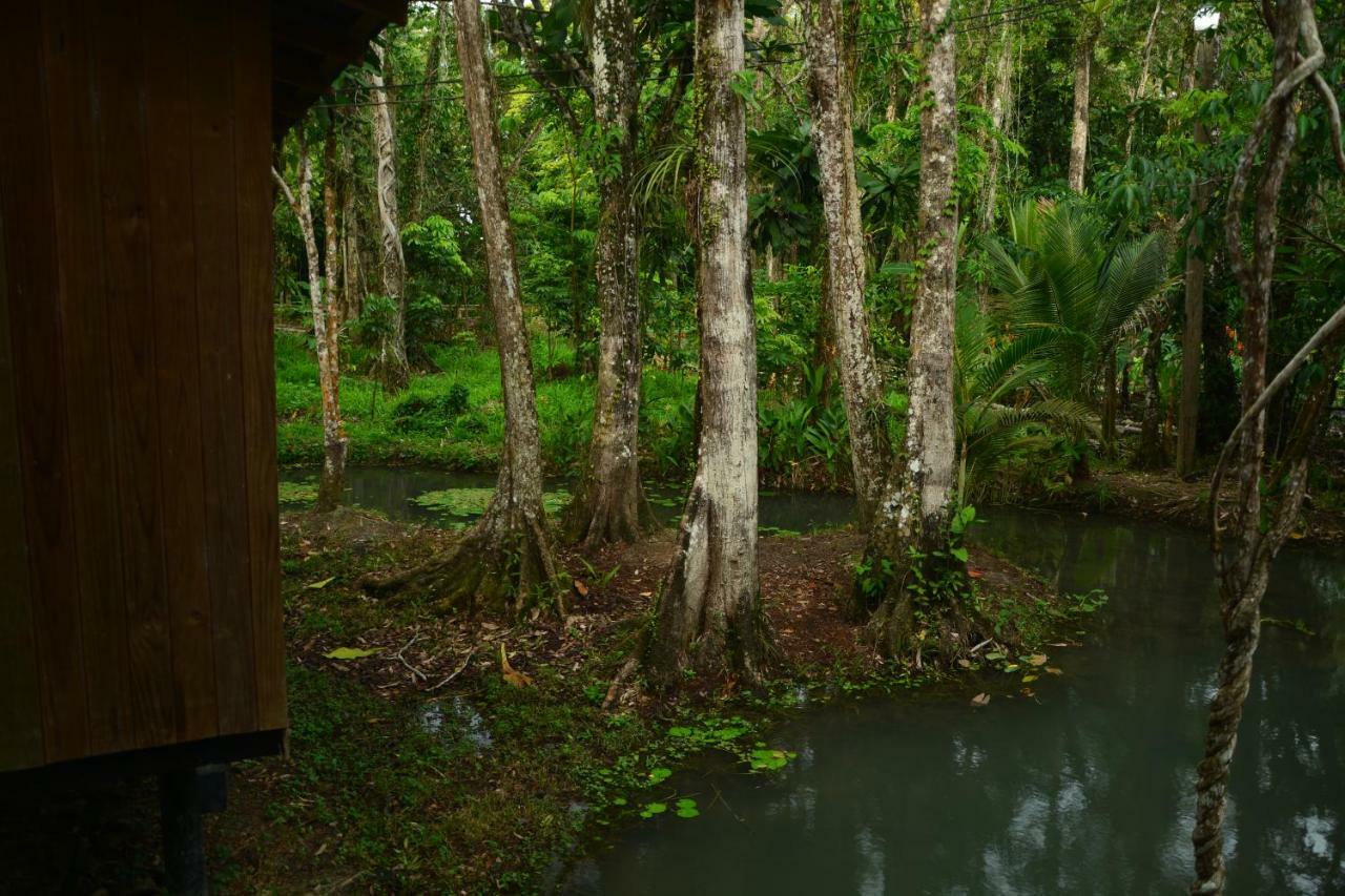 Hotel Kangaroo Y Restaurante Rio Dulce Luaran gambar